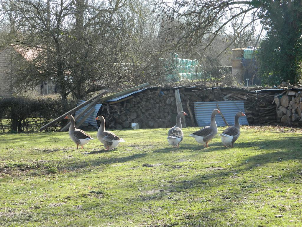 Meubles De Tourisme La Reserve Saint-Pierre-les-Bois Zewnętrze zdjęcie